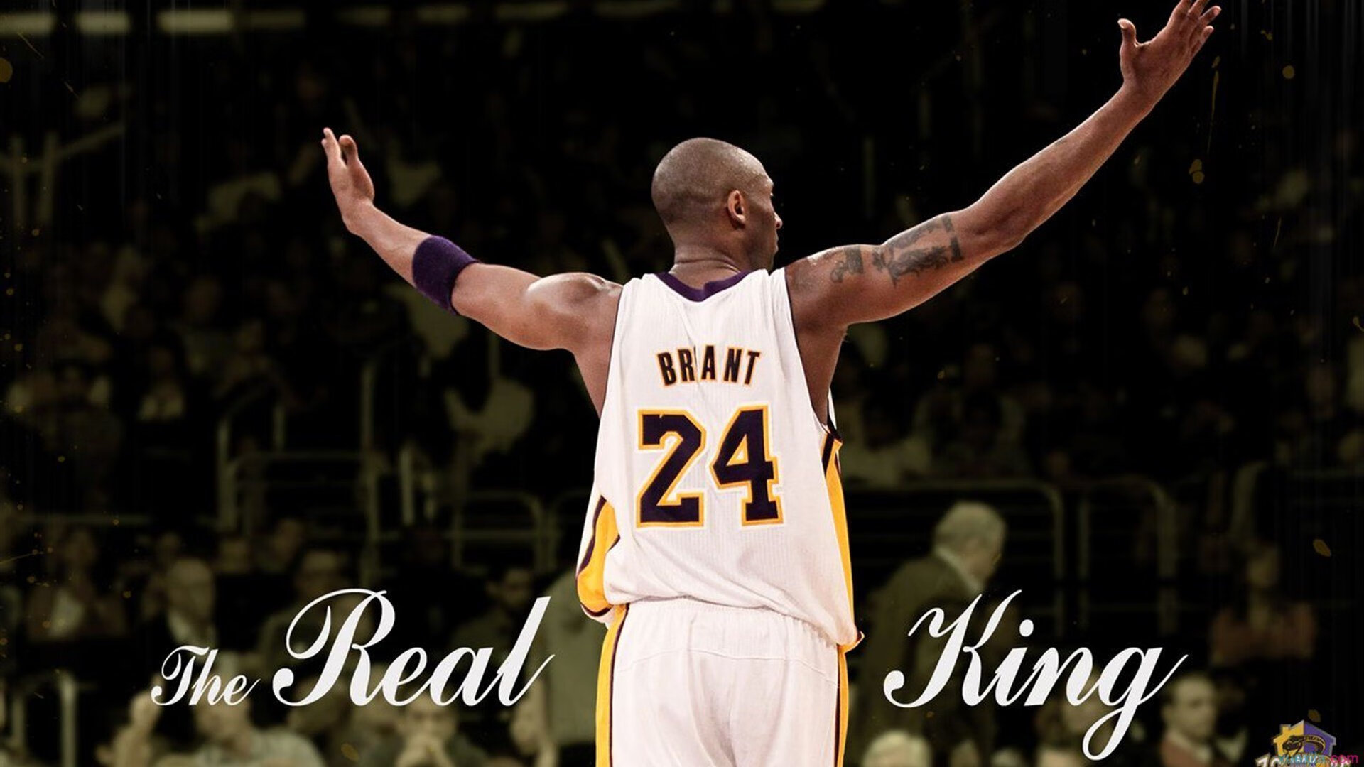 开云体育软件-《电竞领域新兴产业：从硬件到赛事策划全线布局》，电竞行业解读