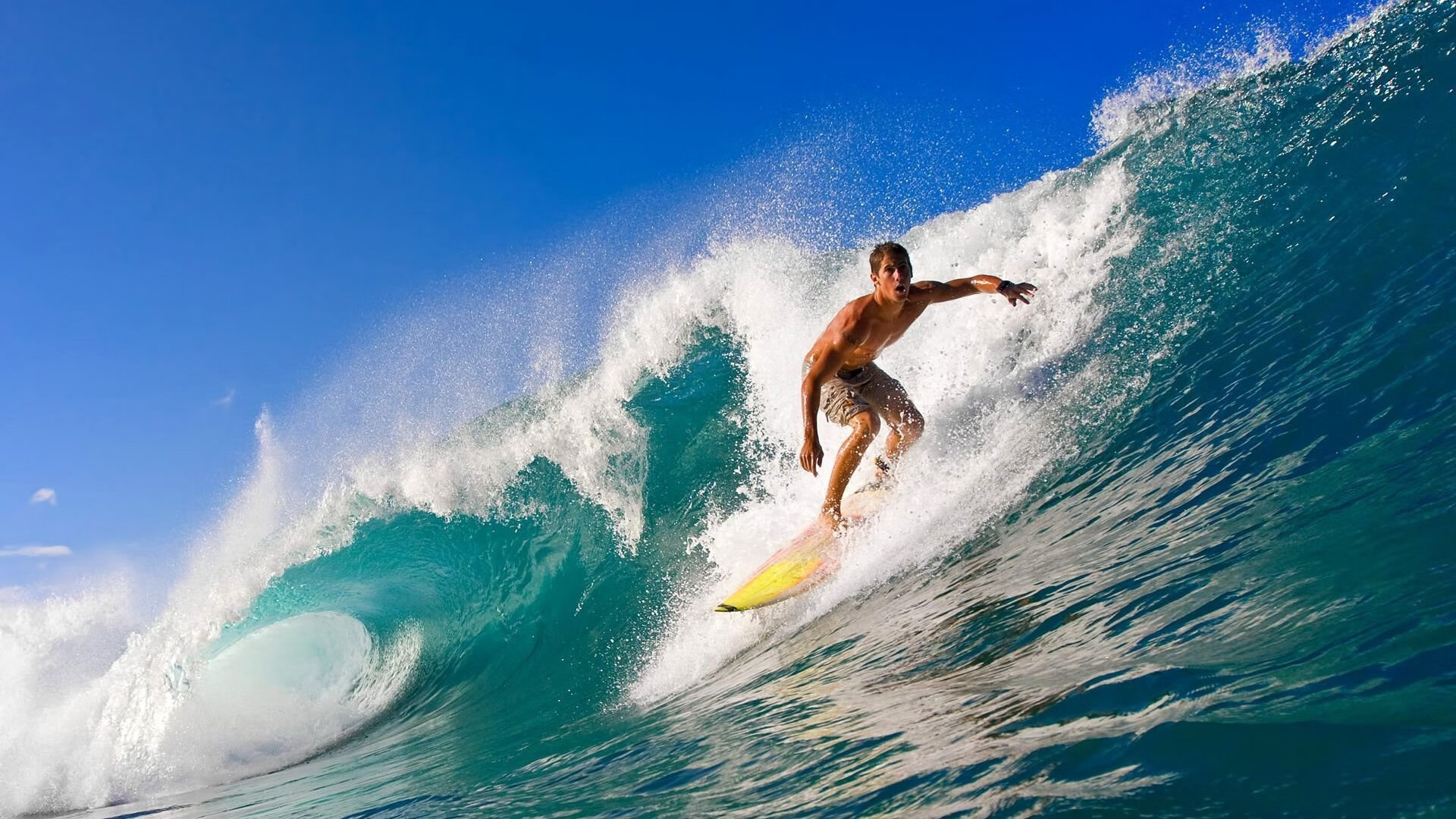 开云电竞平台-女足世界杯赛事营销策略探讨，女足世界杯关注度